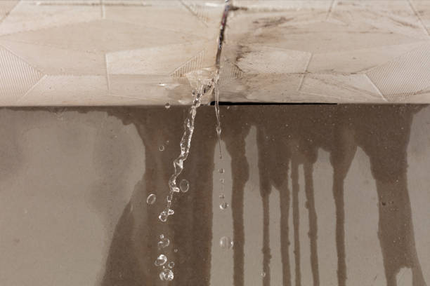 Professional Water Damage Repair technician working in Mona, UT